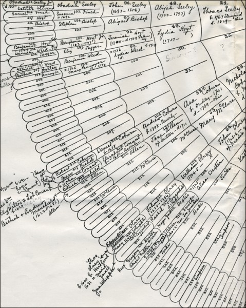 genealogy