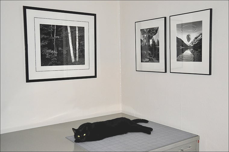 Gallery framing deals