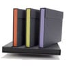 Accent Portfolios