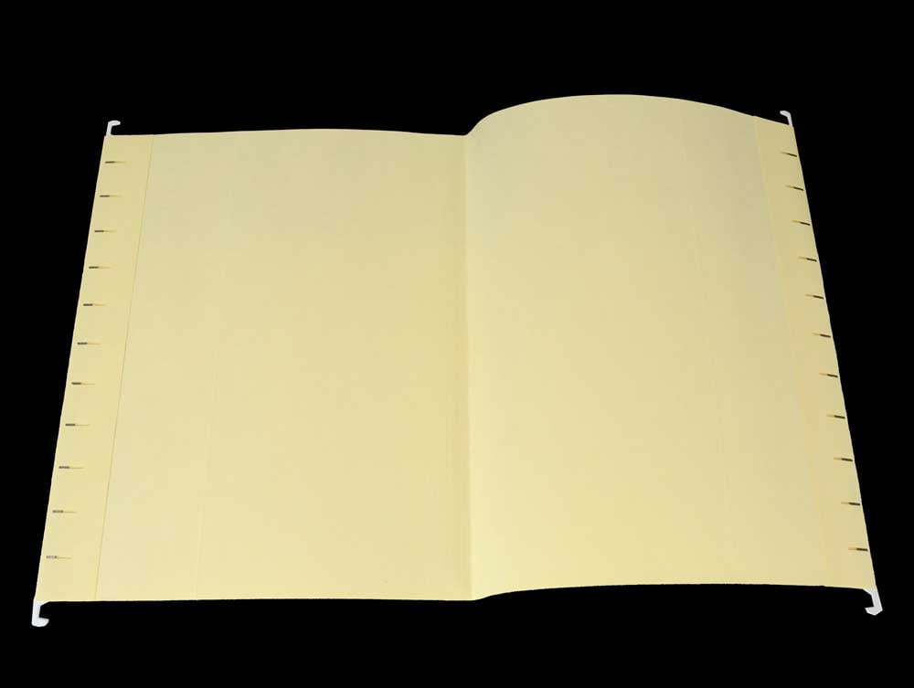 Hanging File Folders