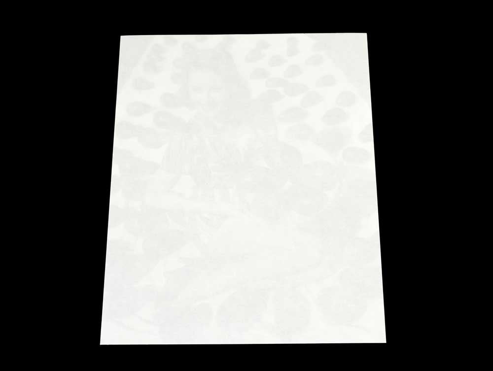 Archival Thin Paper used as interleaving for a photograph , showcasing its acid-free transparency for protecting photos. 