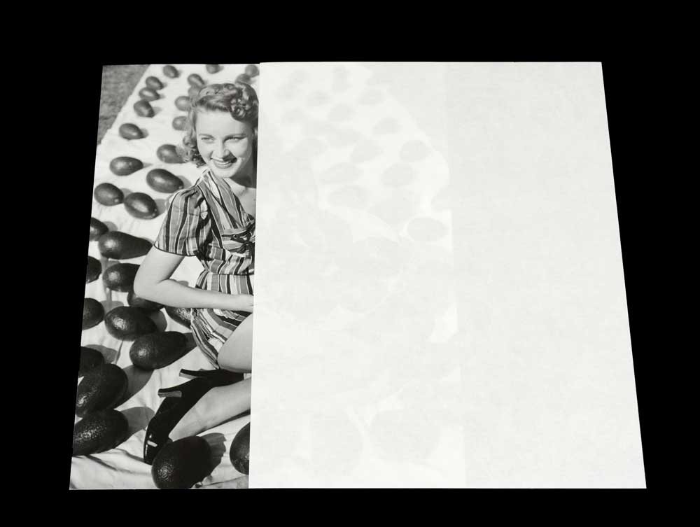 Archival Thin Paper used as interleaving for a photograph , showcasing its acid-free transparency for protecting photos. 