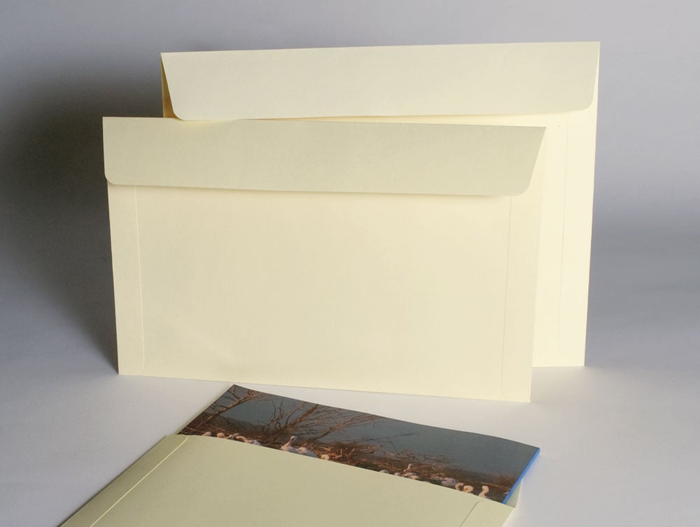 300 CBG Business Envelope #10 Archival 2-Mil Soft Poly Sleeves acid free covers 