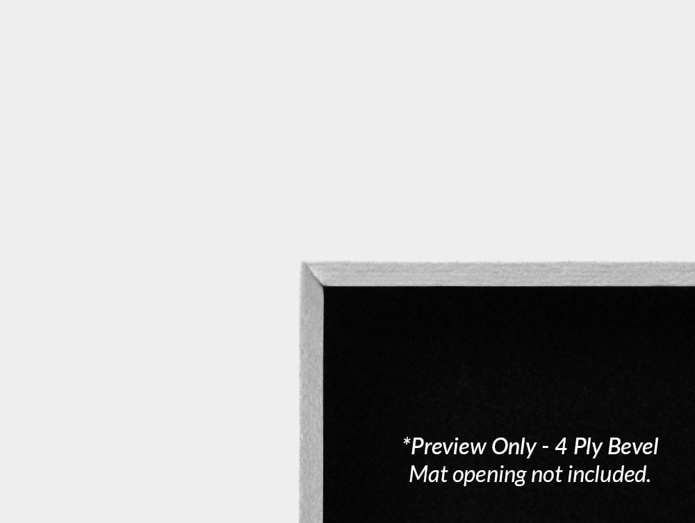 Conservation Board samples, acid-free, available in  4-ply thicknesses with a bevel cut, providing archival protection for artwork.
