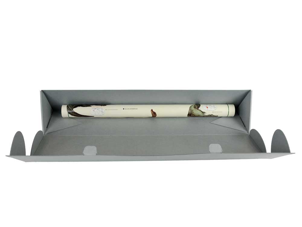 Triangular archival storage box made of acid-free corrugated, opening fully showing a rolled map safe storage with easy access.