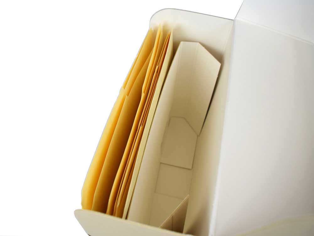 A few file folders are kept upright in a letter-size document box with acid-free spacers.