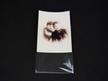 Acid-free 3-Sided Sleeves shown protecting a photo, offering archival storage of artwork, and photographs from handling damage. thumbnail