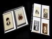 Acid-free card stock inserts in white, with photos mounted ready for Print Pages, providing support & protection.
 thumbnail