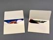 Acid-free Archival Photo Envelopes ensure safe photo storage, allowing notes on image details while holding up to 36 prints or 35mm negatives. thumbnail